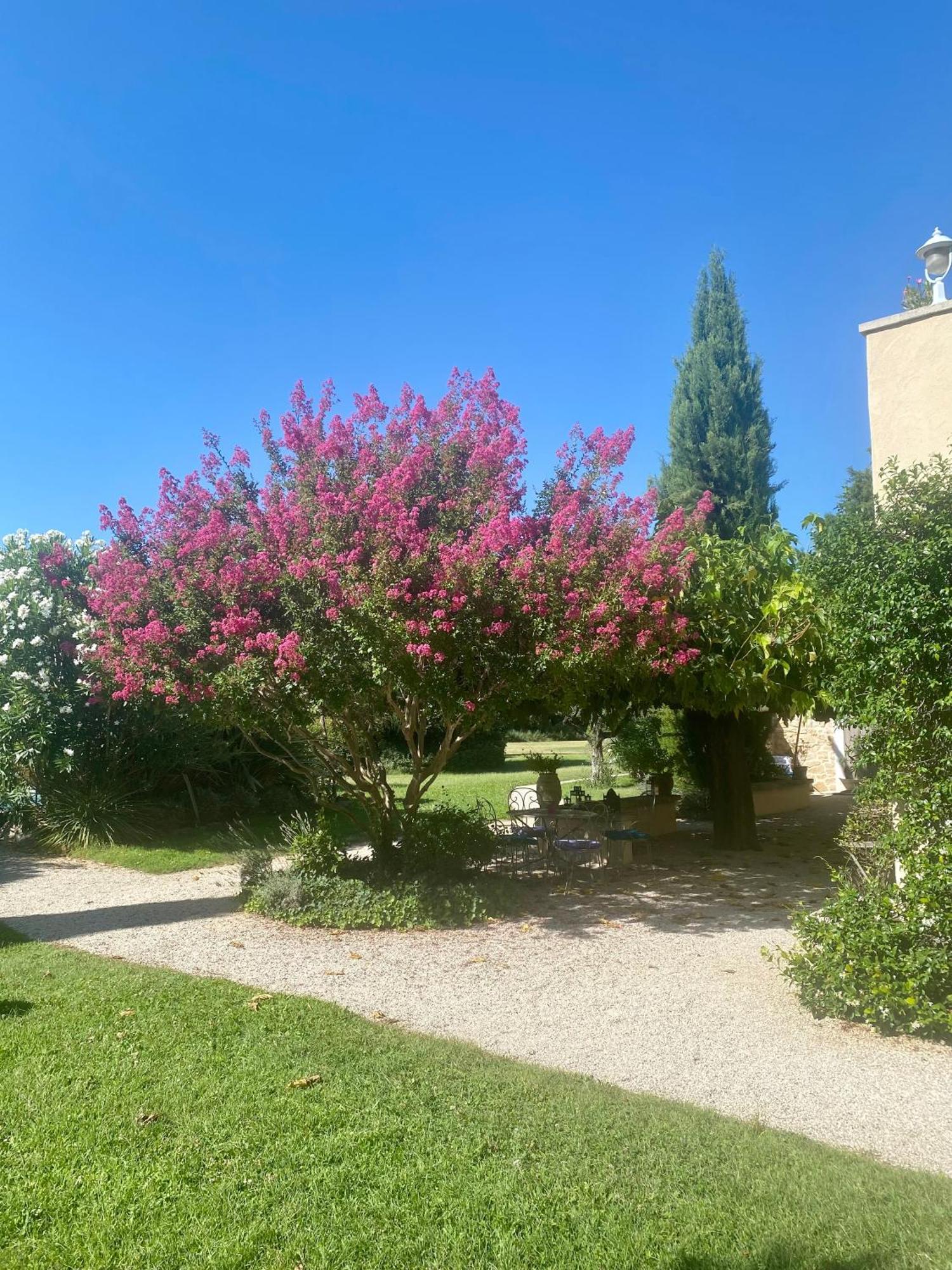 몽투 Mas Les Fleurs D'Hilaire B&B 외부 사진